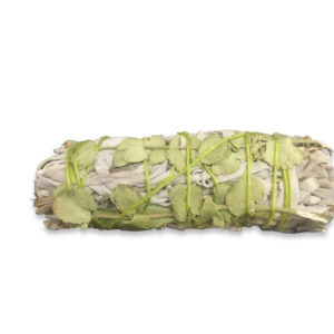 SALVIA CON EUCALIPTO Salvia con Eucalyptus Baby