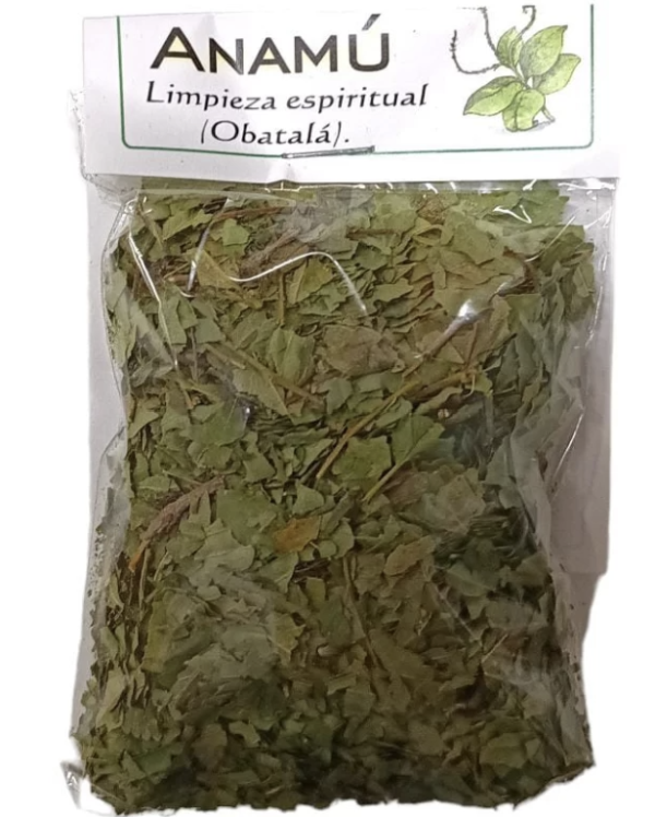 Hierba Anamú Natural