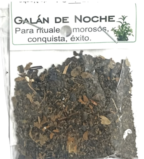 Hierba Galán de Noche Natural