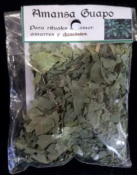 HIERBA AMANSA GUAPO Hierba Amansa Guapo Natural
