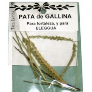 Hierba Pata de Gallina Natural