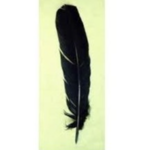 PLUMA Pluma de Ritual