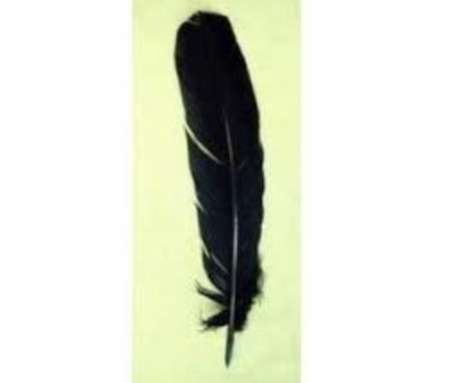Pluma de Ritual