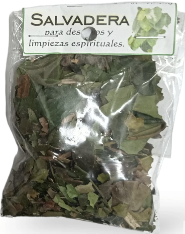 Hierba Salvadera Natural