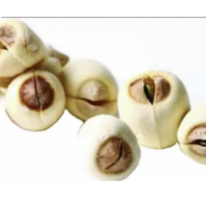 SEMILLAS LOTO Semillas de Loto Naturales