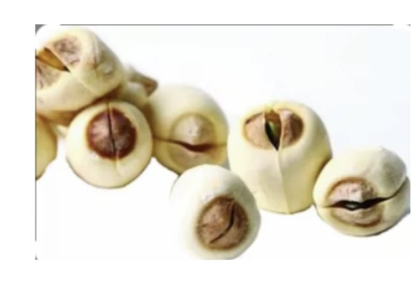 Semillas de Loto Naturales