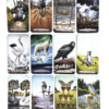 TAROT ANIMAL 1 Tarot Animal Totem