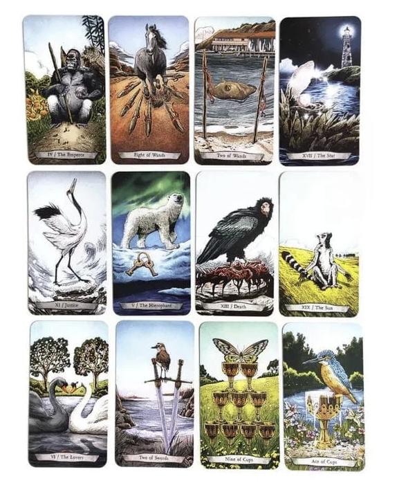 TAROT ANIMAL 1 Tarot Animal Totem