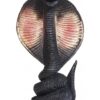 Ritual Cobra Negra