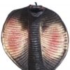 Ritual Cobra Negra