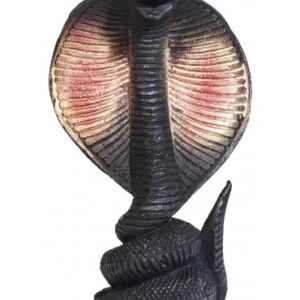 Ritual Cobra Negra