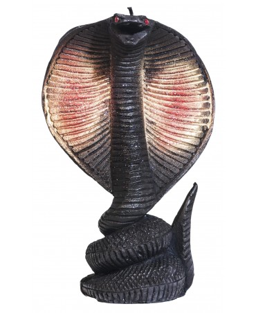 Ritual Cobra Negra